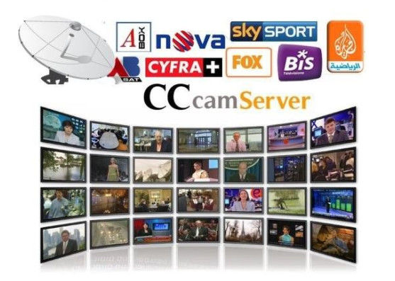 China Servidor estável do pagamento de Cccam actualizado automaticamente com DVB - receptor S2 fornecedor